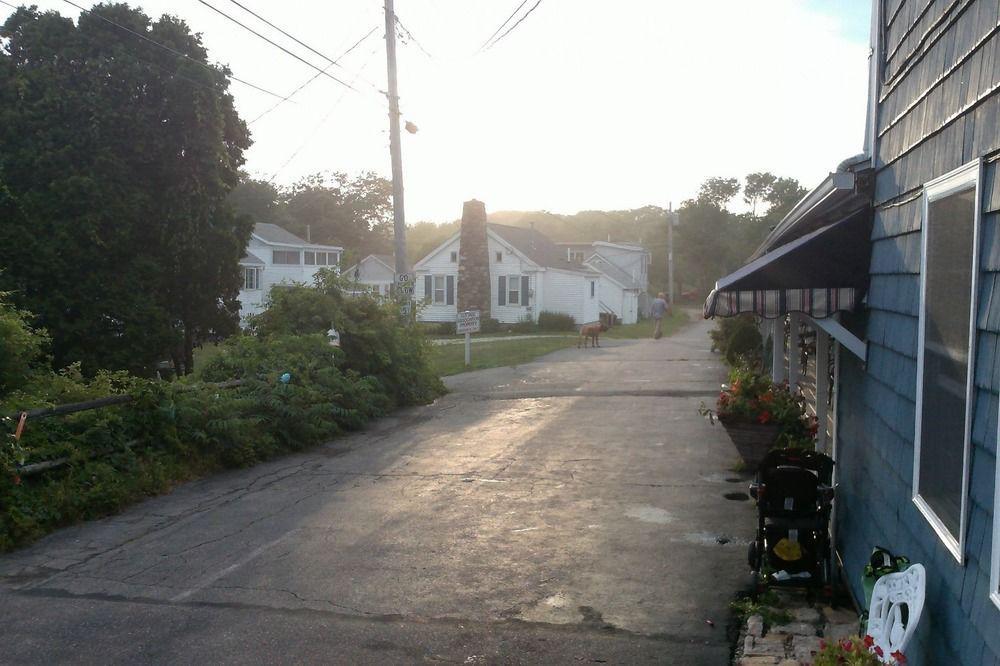 Sea Turn Motel York Exterior foto